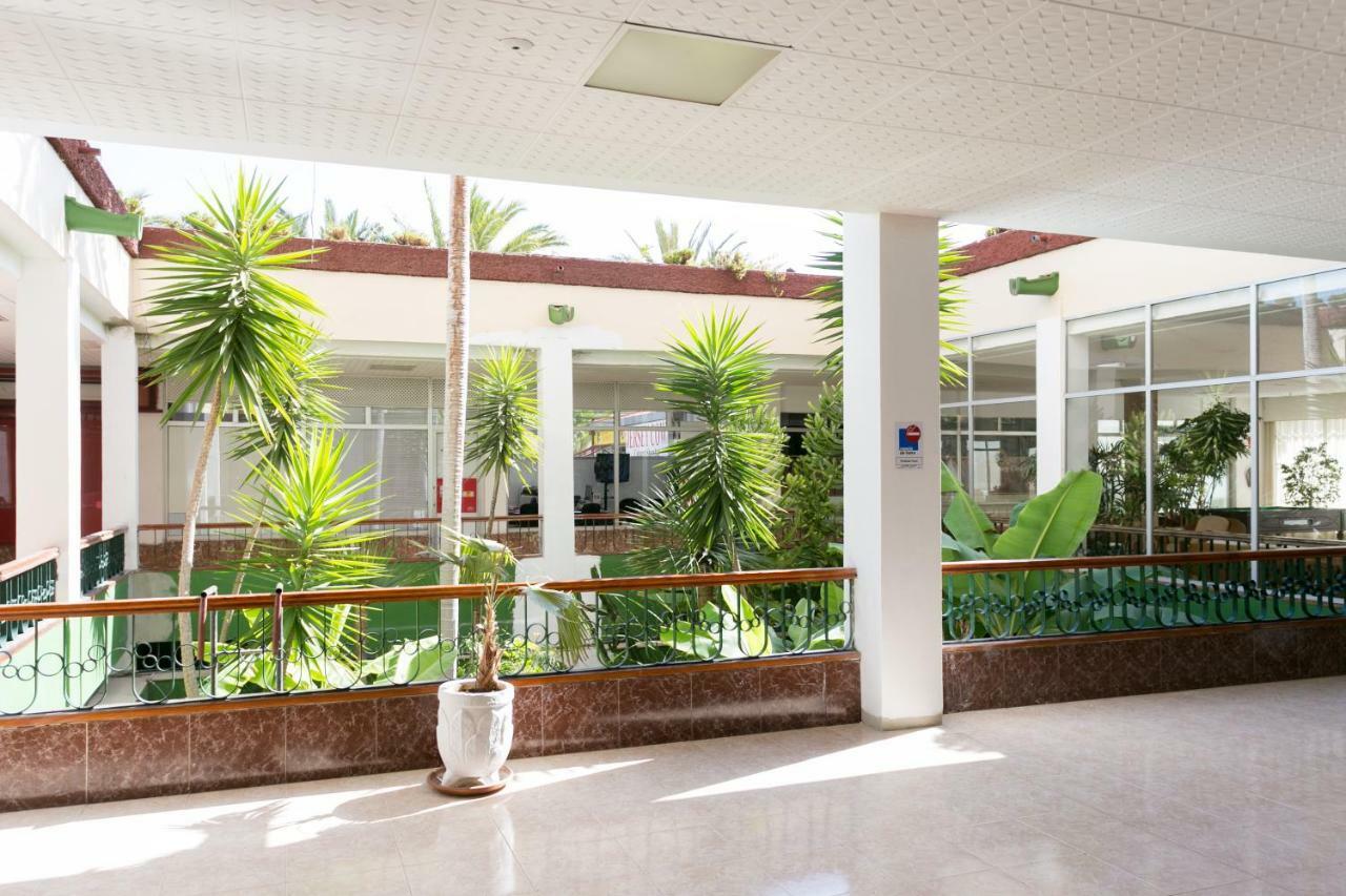 408 Enchanting El Dorado Accommodation, Sea View! Playa de las Americas  Exteriér fotografie